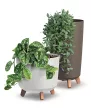 VIRÁGLÁDA KÜLTÉRI GRÁCIA KÁVÉ DGTL240W-4625W - 239X445X239MM